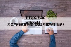 天美乌鸦星空果冻（美国天空乌鸦 假的）